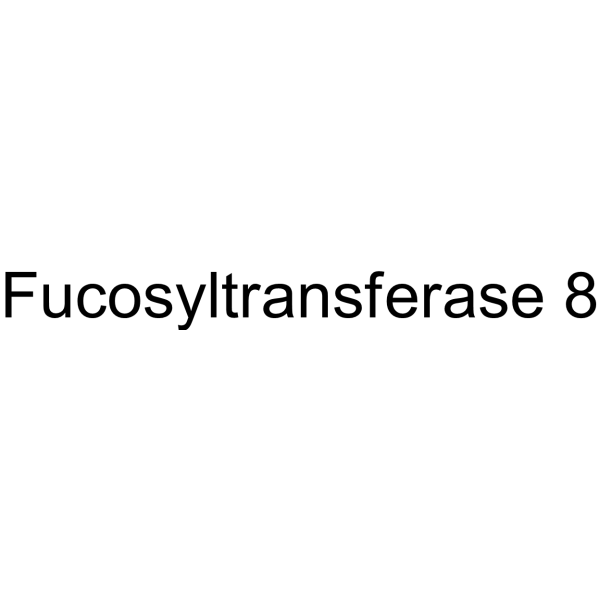 Fucosyltransferase 8